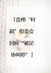 贵州“村超”组委会回应“被足协叫停”