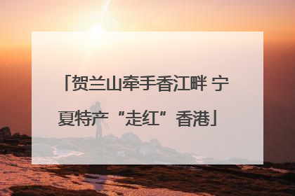贺兰山牵手香江畔 宁夏特产“走红”香港