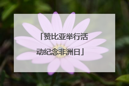 赞比亚举行活动纪念非洲日