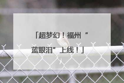 超梦幻！福州“蓝眼泪”上线！