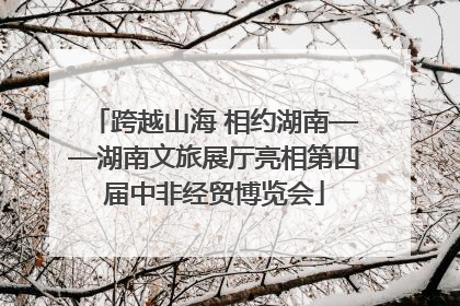 跨越山海 相约湖南——湖南文旅展厅亮相第四届中非经贸博览会