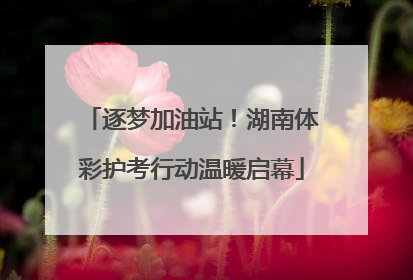 逐梦加油站！湖南体彩护考行动温暖启幕