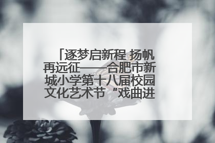 逐梦启新程 扬帆再远征——合肥市新城小学第十八届校园文化艺术节“戏曲进校园专场演出”