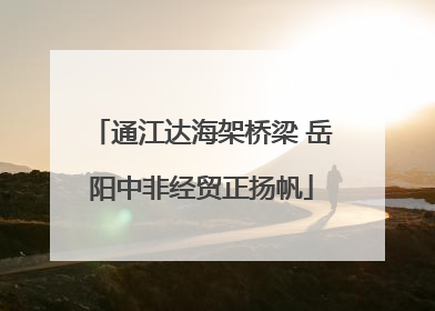 通江达海架桥梁 岳阳中非经贸正扬帆