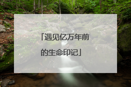 遇见亿万年前的生命印记