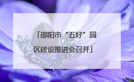 邵阳市“五好”园区建设推进会召开