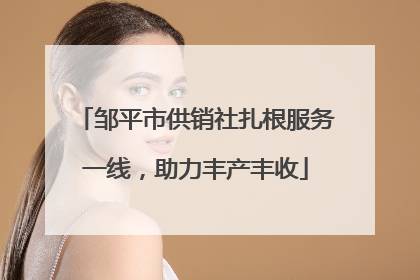 邹平市供销社扎根服务一线，助力丰产丰收