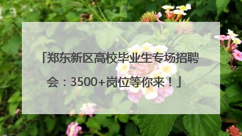 郑东新区高校毕业生专场招聘会：3500+岗位等你来！