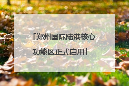 郑州国际陆港核心功能区正式启用