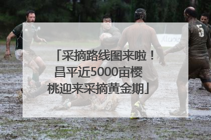采摘路线图来啦！昌平近5000亩樱桃迎来采摘黄金期