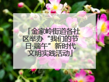 金家岭街道各社区举办“我们的节日·端午”新时代文明实践活动