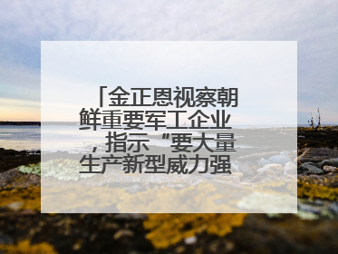 金正恩视察朝鲜重要军工企业，指示“要大量生产新型威力强大的炮弹”