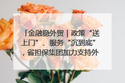 金融稳外贸｜政策“送上门”、服务“沉到底”，省担保集团加力支持外经贸高质量发展
