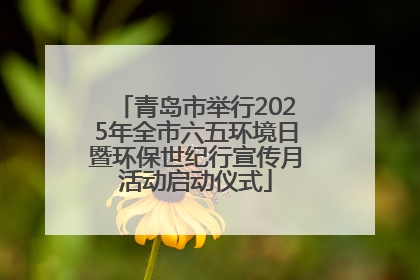 青岛市举行2025年全市六五环境日暨环保世纪行宣传月活动启动仪式
