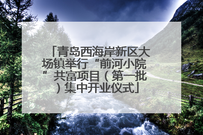 青岛西海岸新区大场镇举行“前河小院”共富项目（第一批）集中开业仪式