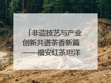 非遗技艺与产业创新共谱茶香新篇——福安红茶坦洋工夫专场推介会在京举办