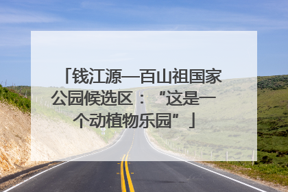 钱江源—百山祖国家公园候选区：“这是一个动植物乐园”