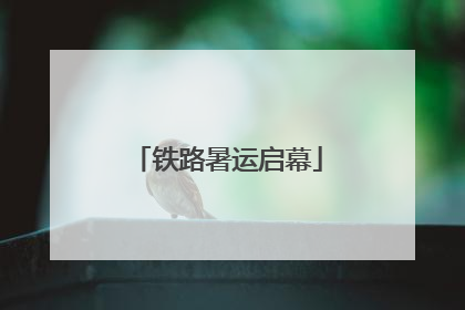 铁路暑运启幕