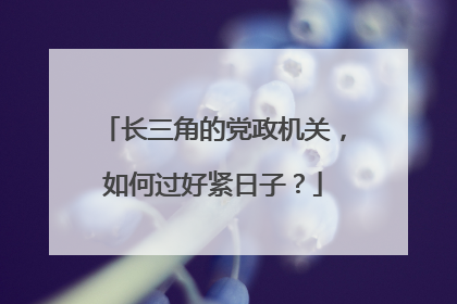 长三角的党政机关，如何过好紧日子？