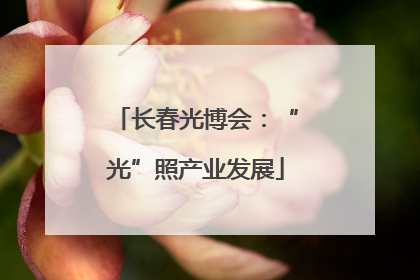 长春光博会：“光”照产业发展