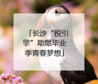 长沙“税引擎”助燃毕业季青春梦想
