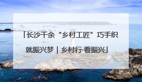 长沙千余“乡村工匠”巧手织就振兴梦｜乡村行·看振兴