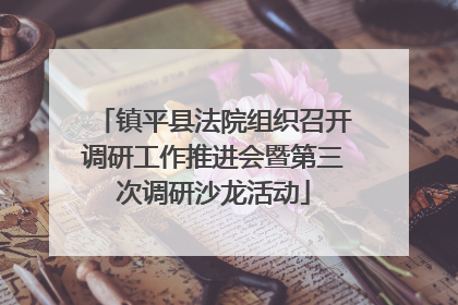 镇平县法院组织召开调研工作推进会暨第三次调研沙龙活动