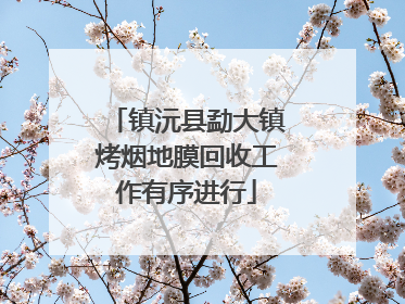 镇沅县勐大镇烤烟地膜回收工作有序进行