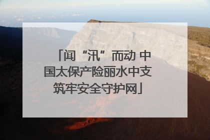 闻“汛”而动 中国太保产险丽水中支筑牢安全守护网