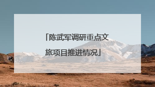 陈武军调研重点文旅项目推进情况