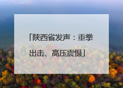 陕西省发声：重拳出击、高压震慑