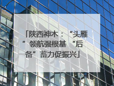 陕西神木：“头雁”领航强根基 “后备”蓄力促振兴