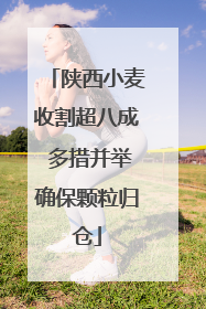 陕西小麦收割超八成 多措并举确保颗粒归仓