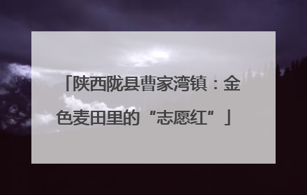 陕西陇县曹家湾镇：金色麦田里的“志愿红”