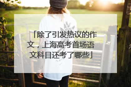 除了引发热议的作文，上海高考首场语文科目还考了哪些