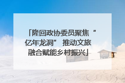 隆回政协委员聚焦“亿年龙洞” 推动文旅融合赋能乡村振兴
