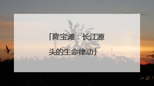 隆宝滩：长江源头的生命律动