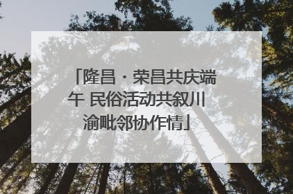 隆昌・荣昌共庆端午 民俗活动共叙川渝毗邻协作情