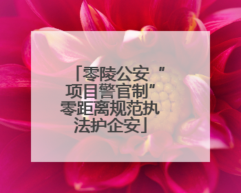 零陵公安“项目警官制”零距离规范执法护企安