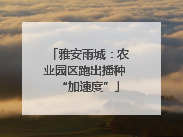 雅安雨城：农业园区跑出播种“加速度”