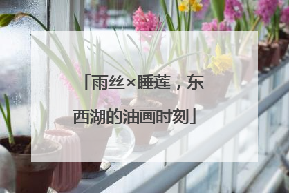 雨丝×睡莲，东西湖的油画时刻