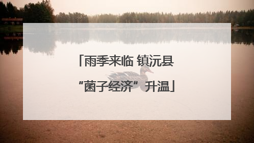 雨季来临 镇沅县“菌子经济”升温