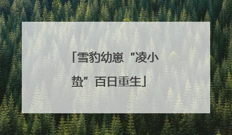 雪豹幼崽“凌小蛰”百日重生