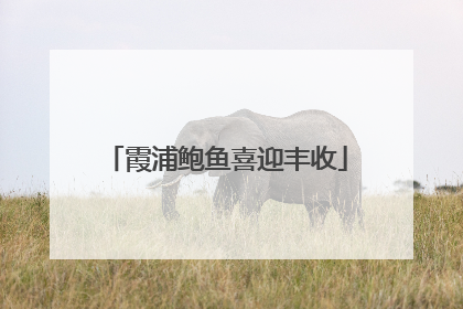 霞浦鲍鱼喜迎丰收