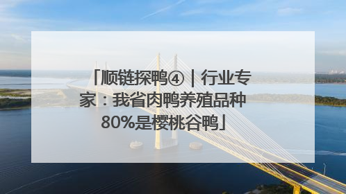 顺链探鸭④｜行业专家：我省肉鸭养殖品种80%是樱桃谷鸭