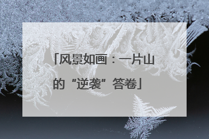 风景如画：一片山的“逆袭”答卷
