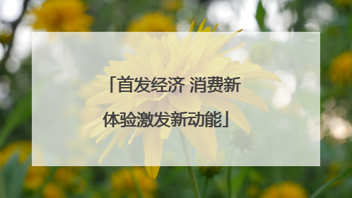 首发经济 消费新体验激发新动能