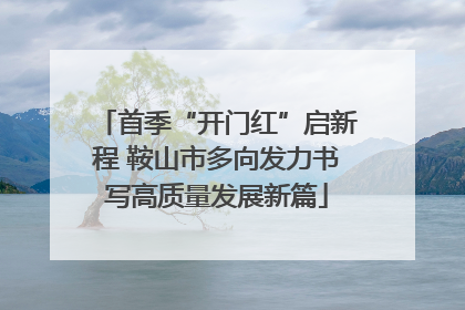 首季“开门红”启新程 鞍山市多向发力书写高质量发展新篇
