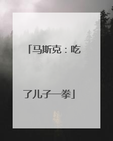 马斯克：吃了儿子一拳