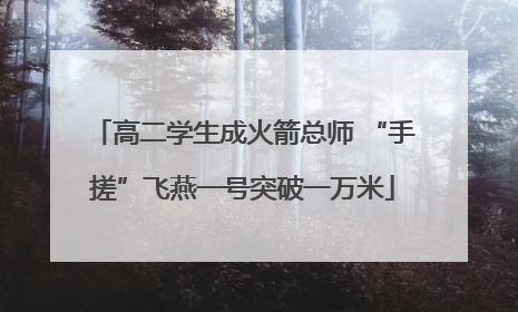 高二学生成火箭总师 “手搓”飞燕一号突破一万米
